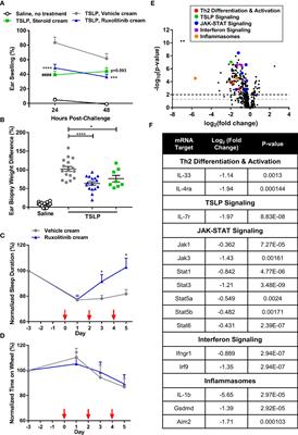 Ruxolitinib Cream Has Dual Efficacy on Pruritus and Inflammation in Experimental Dermatitis